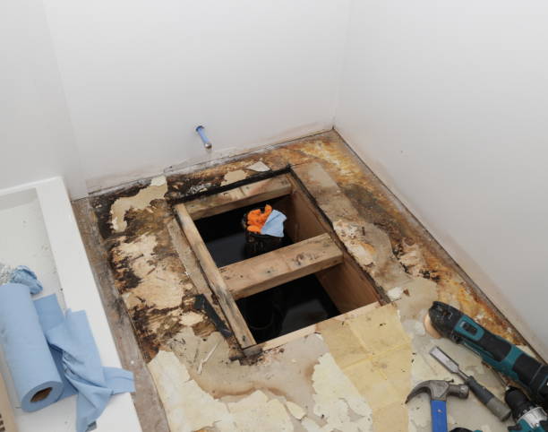 Best Residential Mold Remediation in Hawarden, IA